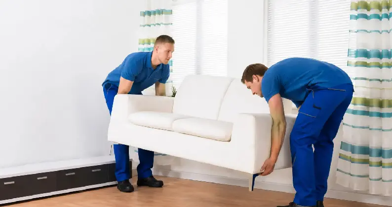Furniture Removalists